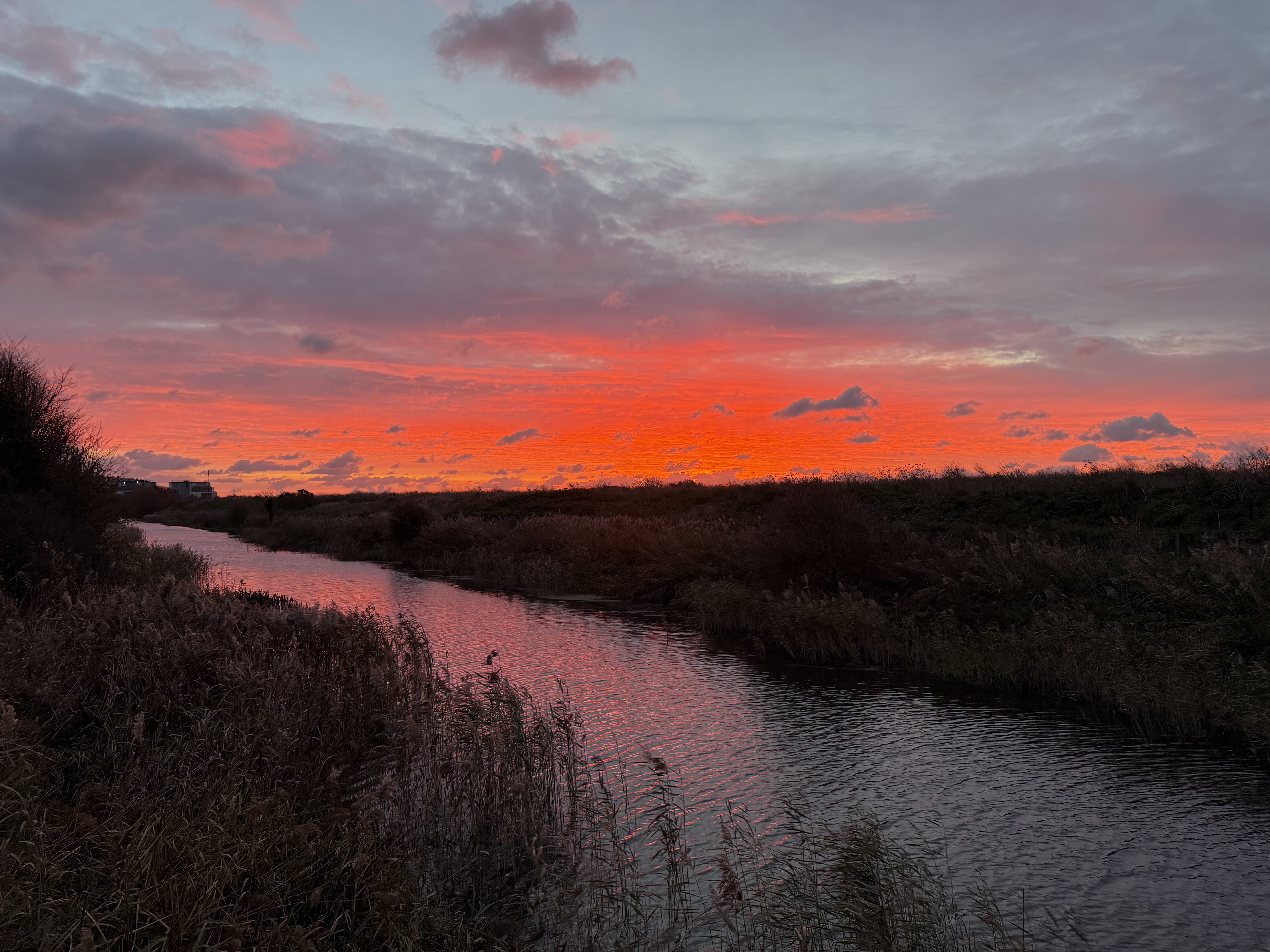 Seabrook Nature Reserve