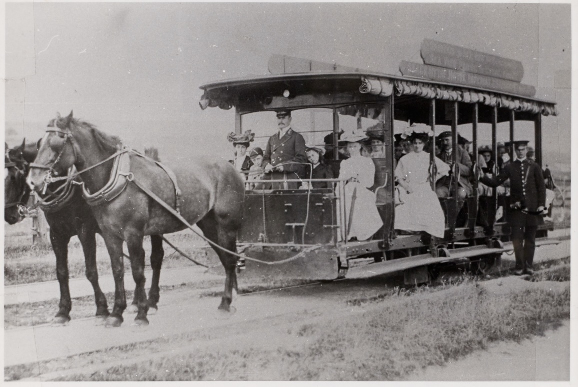 Tram at Princess Parade